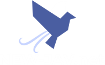 new-jav.myadultvideo.org